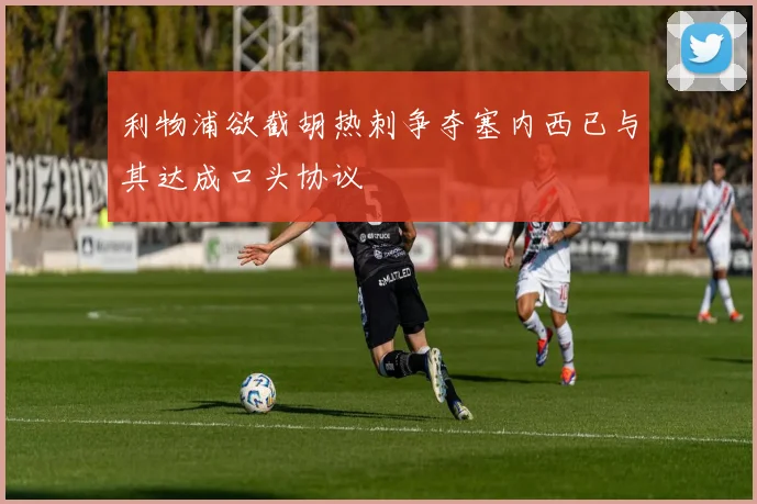利物浦欲截胡热刺争夺塞内西已与其达成口头协议