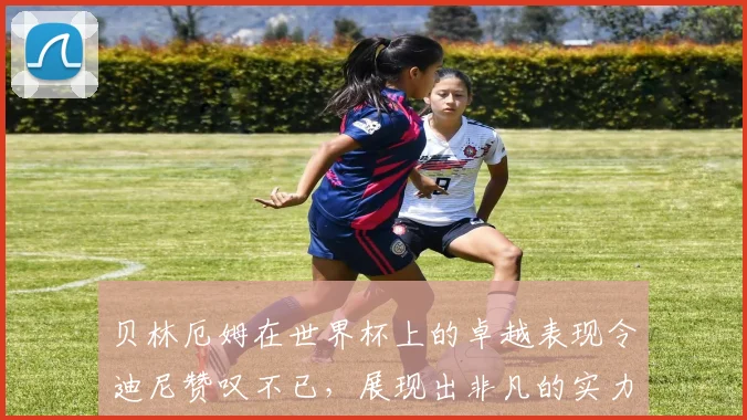 贝林厄姆在世界杯上的卓越表现令迪尼赞叹不已，展现出非凡的实力与魅力